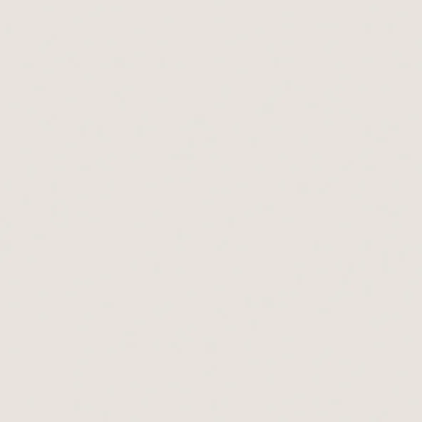 Керамогранит Estima Rainbow RW01 80x80 бежевый - фото 1