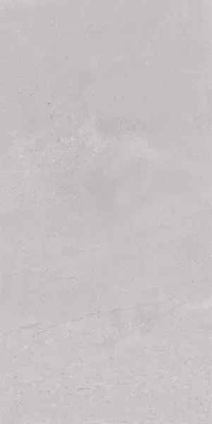 Керамическая плитка Kerama Marazzi 11259R Про Матрикс серый светлый матовый обрезной 30x60 - фото 1