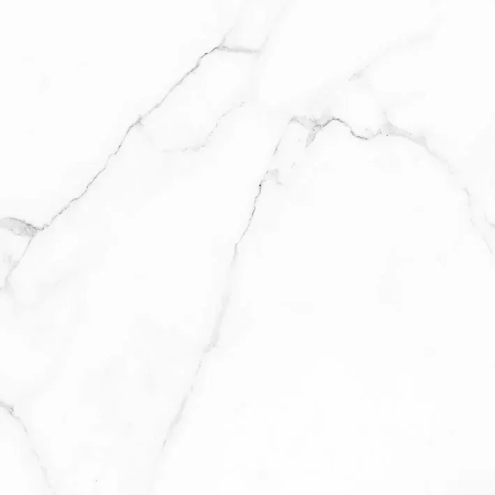 Керамогранит Alma Ceramica Carrara GFU04CRR00R 60x60 - фото 1