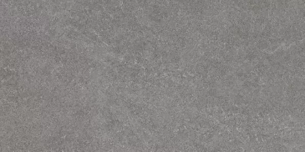 Керамогранит Kerama Marazzi DL501200R Роверелла пепельный обрезной 60х119.5 - фото 1