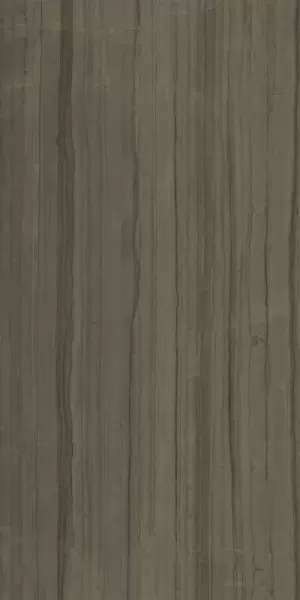 Керамогранит Италон Charme Advance Elegant Brown 80x160 матовый - фото 4