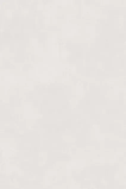 Керамогранит Maimoon Ceramica Granolith Specto White белый 120x280 - фото 1