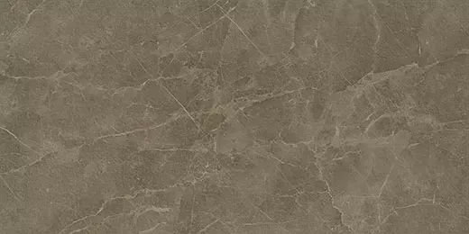 Керамогранит Atlas Concorde Supernova Stone Grey Wax 60x120 - фото 1