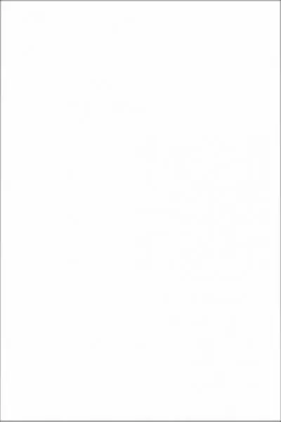 Керамическая плитка Kerama Marazzi 8063 Аджанта Тигр белый 20x30 - фото 1