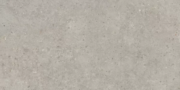 Керамогранит Kerama Marazzi SG519920R Риккарди серый светлый матовый обрезной 60х119.5 - фото 2