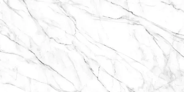 Керамогранит Alma Ceramica Neo Calacatta GFU60120NCL07R 60x120 - фото 1