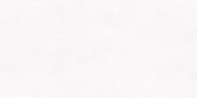 Керамогранит Maimoon Ceramica Carving Mystic Blanco белый 80x160 - фото 1