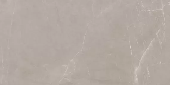 Керамогранит Lasselsberger Блюм 6260-0017 мокко 30x60 - фото 1