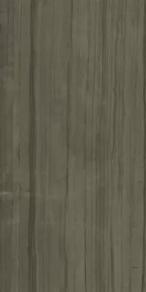 Керамогранит Италон Charme Advance Elegant Brown 80x160 матовый - фото 3