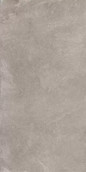 Керамогранит Kerama Marazzi Про Стоун серый обрезной 60x119.5 DD500220R - фото 1