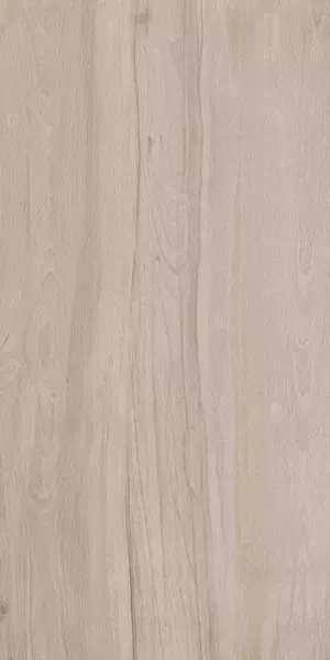 Керамогранит Kerama Marazzi DL501500R20 Про Вуд беж тёмный обрезной 60x119,5 - фото 1