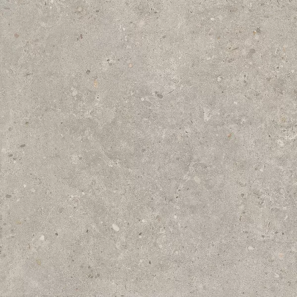 Керамогранит Kerama Marazzi SG653720R Риккарди серый светлый матовый обрезной 60х60 - фото 2