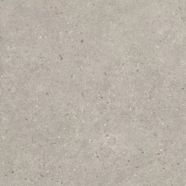 Керамогранит Kerama Marazzi SG653720R Риккарди серый светлый матовый обрезной 60х60 - фото 4