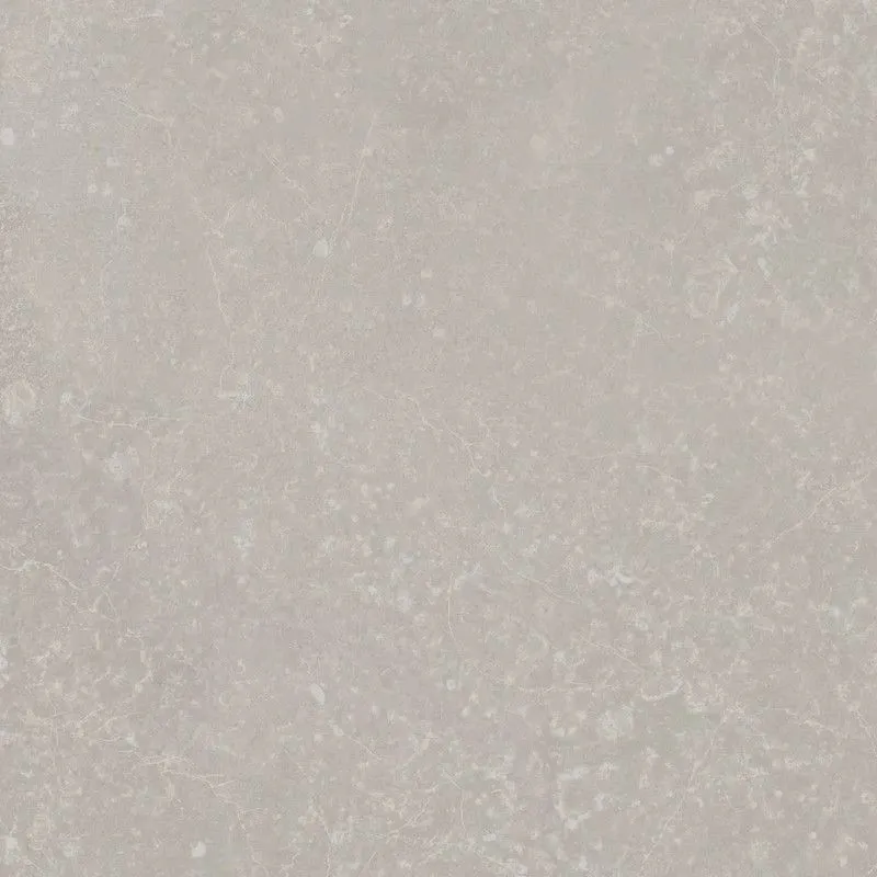 Керамическая плитка Kerama Marazzi KM2424G0011N Касабланка серый светлый матовый 24x24 - фото 1