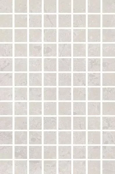 Мозаика Kerama Marazzi MM8351 Ферони мозаичный серый светлый матовый 20x60 - фото 1