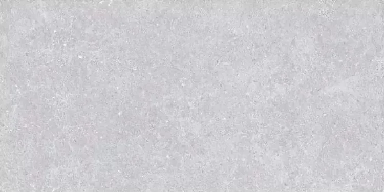 Керамогранит Novin Ceram Lasko Light Gray SE9544M50 серый 60x120 - фото 1