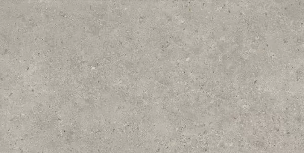 Керамогранит Kerama Marazzi SG519920R Риккарди серый светлый матовый обрезной 60х119.5 - фото 1