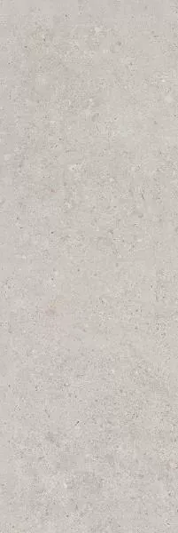 Керамическая плитка Kerama Marazzi 14053R Риккарди серый светлый матовый обрезной 40x120 - фото 1