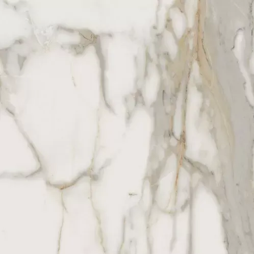 Керамогранит Италон Charme Evo Calacatta 60x60 - фото 1
