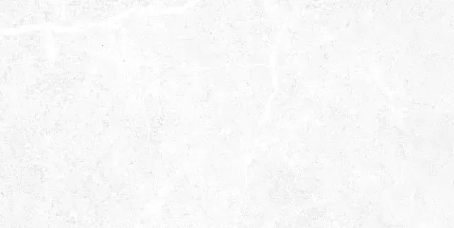 Керамическая плитка Alma Ceramica Мэдисон TWU09TON000 белый 24.9x50 - фото 1