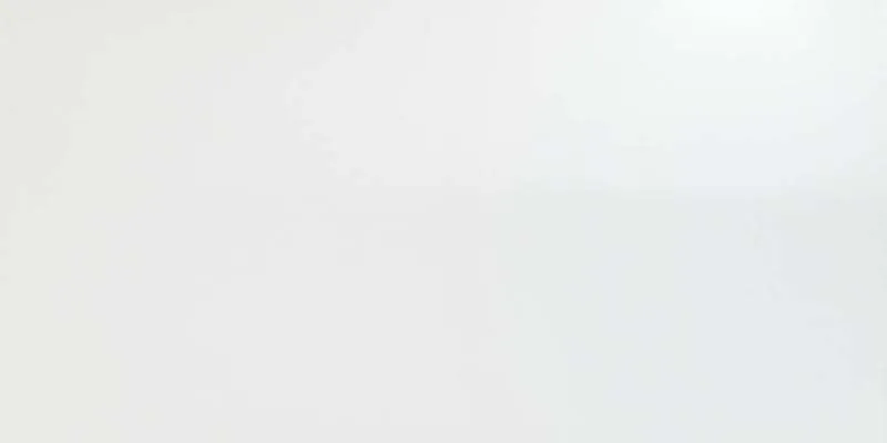 Керамическая плитка Atlas Concorde Italy Solid White Glossy 8DSL 40x80 - фото 1