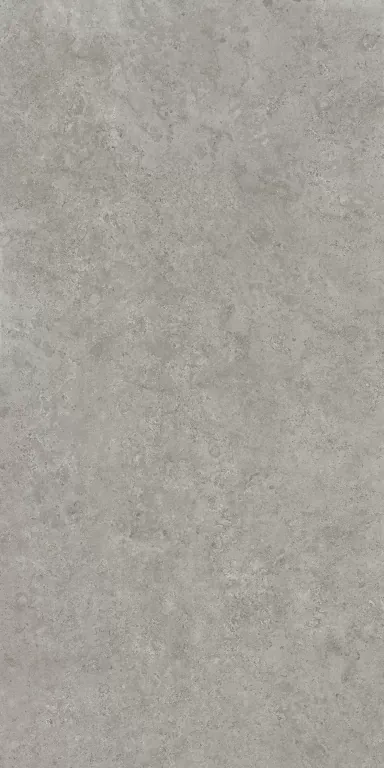 Керамогранит Kerama Marazzi DD590620R Про Лаймстоун АТ серый натуральный обрезной 119.5x238.5 - фото 1