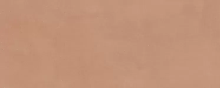 Керамическая плитка Kerama Marazzi Venezia Каннареджо оранжевый матовый 20х50 - фото 1