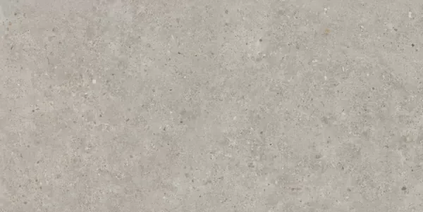 Керамогранит Kerama Marazzi SG519920R Риккарди серый светлый матовый обрезной 60х119.5 - фото 3