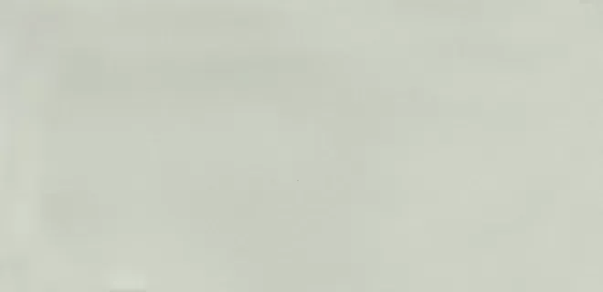 Керамическая плитка Kerama Marazzi 16009 Авеллино фисташковый 7,4x15 - фото 1