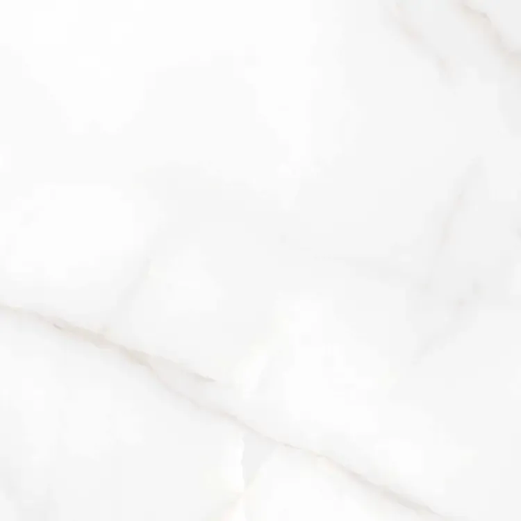 Керамогранит Аркадия Керамика RT6004-A Feather Onyx Matt Rustic 60x60 белый - фото 1