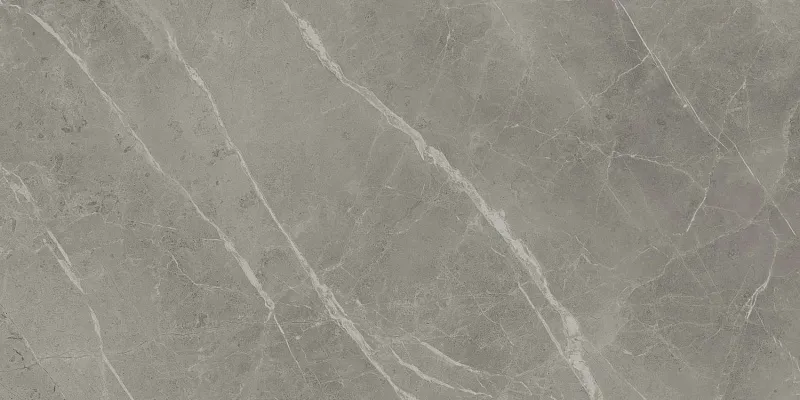 Керамогранит Atlas Concorde Italy Marvel Pro Grey Fleury Matte 60x120 A21F - фото 1