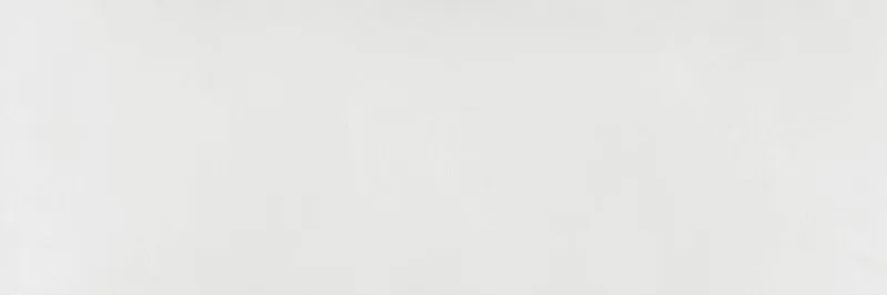 Керамическая плитка Delacora Baffin Gray Light WT15BFN15R 24.6x74 - фото 1