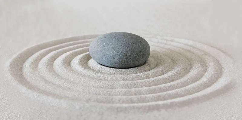 Декор Alma Ceramica Relax DWU09RLX024 24.9x50 - фото 1