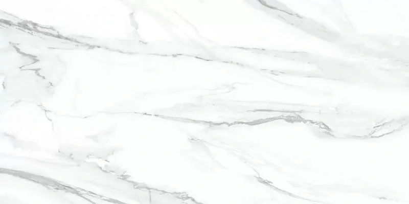 Керамическая плитка Alma Ceramica Vegas TWU09VEG007 24.9x50 - фото 2