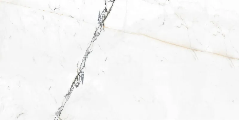 Керамогранит Идальго Pallisandro Oro SR 60x120 белый - фото 1