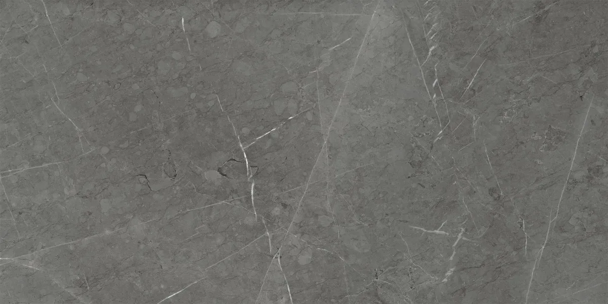 Керамогранит Skala Dark Grey 60x120 K-2203/MR/600x1200x10 - фото 1