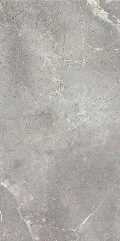 Керамогранит Италон Charme Evo Imperiale 45x90 - фото 1