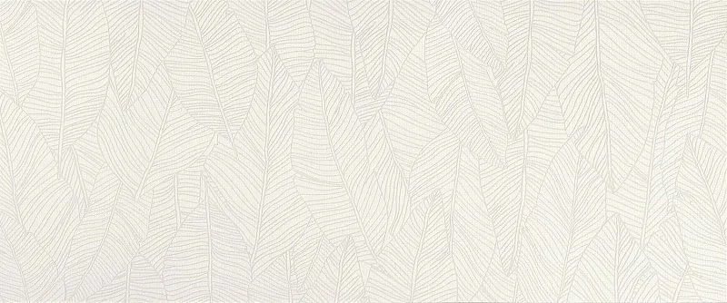 Керамическая плитка Atlas Concorde Italy Aplomb White Leaf 50x120 A6FC - фото 1