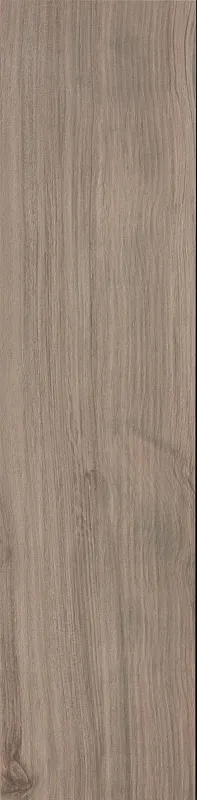 Керамогранит Atlas Concorde Italy Etic Rovere Grigio 22.5x90 AJ8H - фото 1