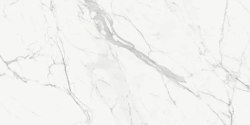 Керамогранит Delacora Порфидо Каррара 60120PFC15 белый 60x120 - фото 1