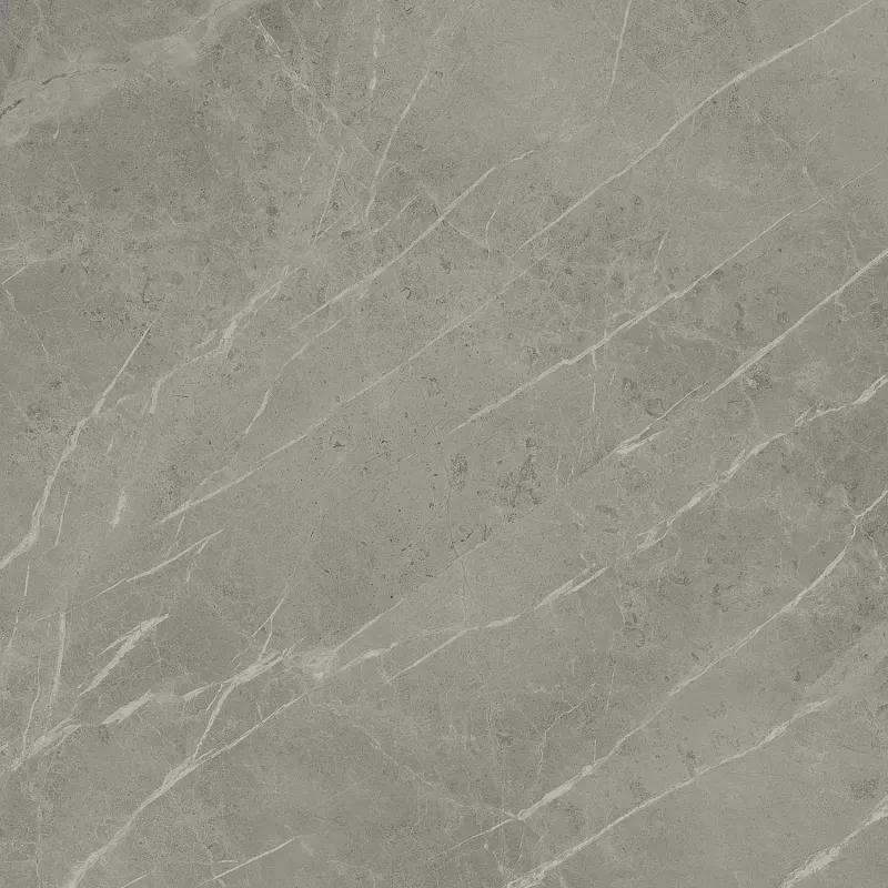 Керамогранит Atlas Concorde Italy Marvel Pro Grey Fleury Matte 120x120 A205 - фото 1