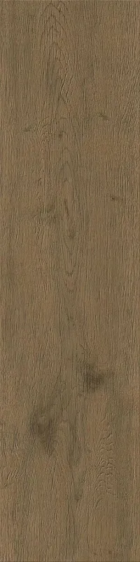 Керамогранит Atlas Concorde Italy Entice Browned Oak Natural Outdoor 30x120 A9DF - фото 1