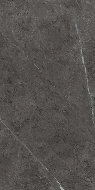 Керамогранит Италон Charme Evo Antracite 45x90 - фото 1