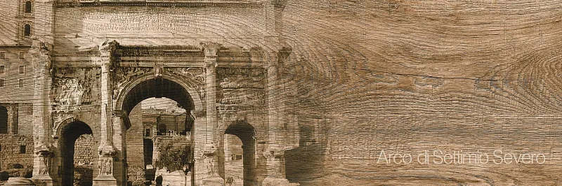 Декор Grasaro Italian Wood Dark Brown 20x60 G-252/SR/d01/200x600x10 - фото 1