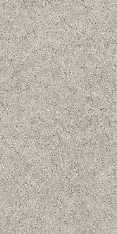 Керамогранит Италон Форум Стоун Сильвер 610010004168 серый 60x120 - фото 1