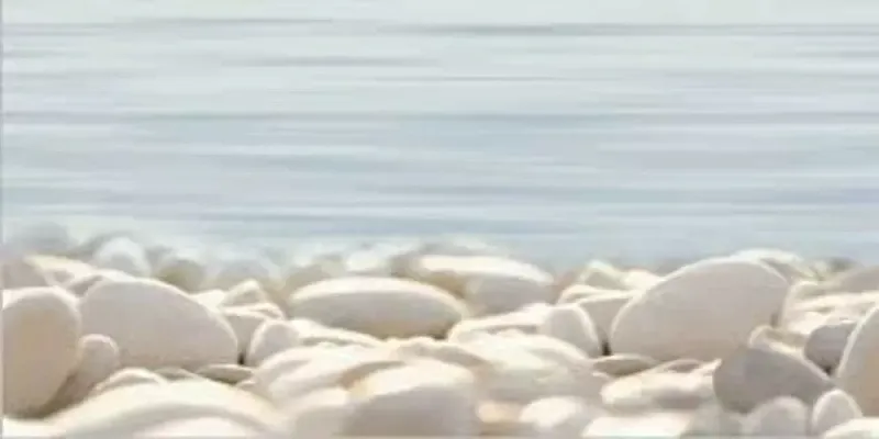 Декор Alma Ceramica Del Mare DWU09DLM604 24.9x50 - фото 1