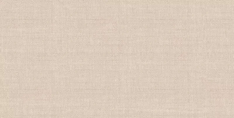 Керамическая плитка Alma Ceramica Asteria TWU09ATR044 24.9x50 - фото 1