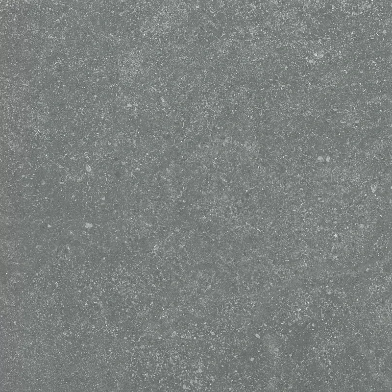 Керамогранит Persepolis Tile Flanders Light Blue 6FML2188 серый 60x60 - фото 1