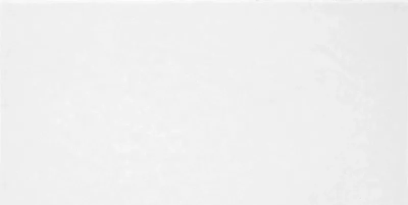 Керамическая плитка Alma Ceramica Salvia TWU09MNR020 24.9x50 - фото 1