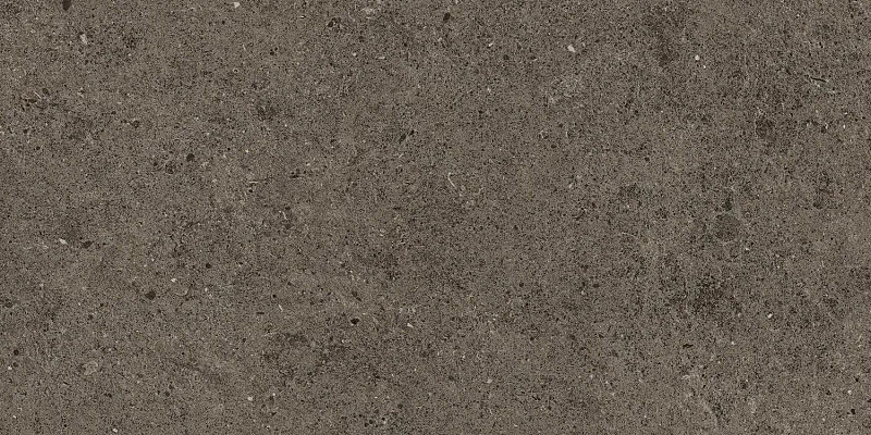 Керамогранит Atlas Concorde Italy Boost Stone Tobacco Matte 30x60 A6R5 - фото 1